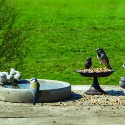 Betonowe poidło dla ptaków