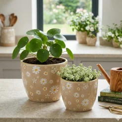 Ceramiczny zestaw donic Honey beżowy