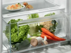 Chłodziarka do zabudowy ELECTROLUX LRB3AE12S