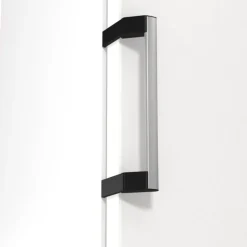 Chłodziarka GORENJE R619EAW6
