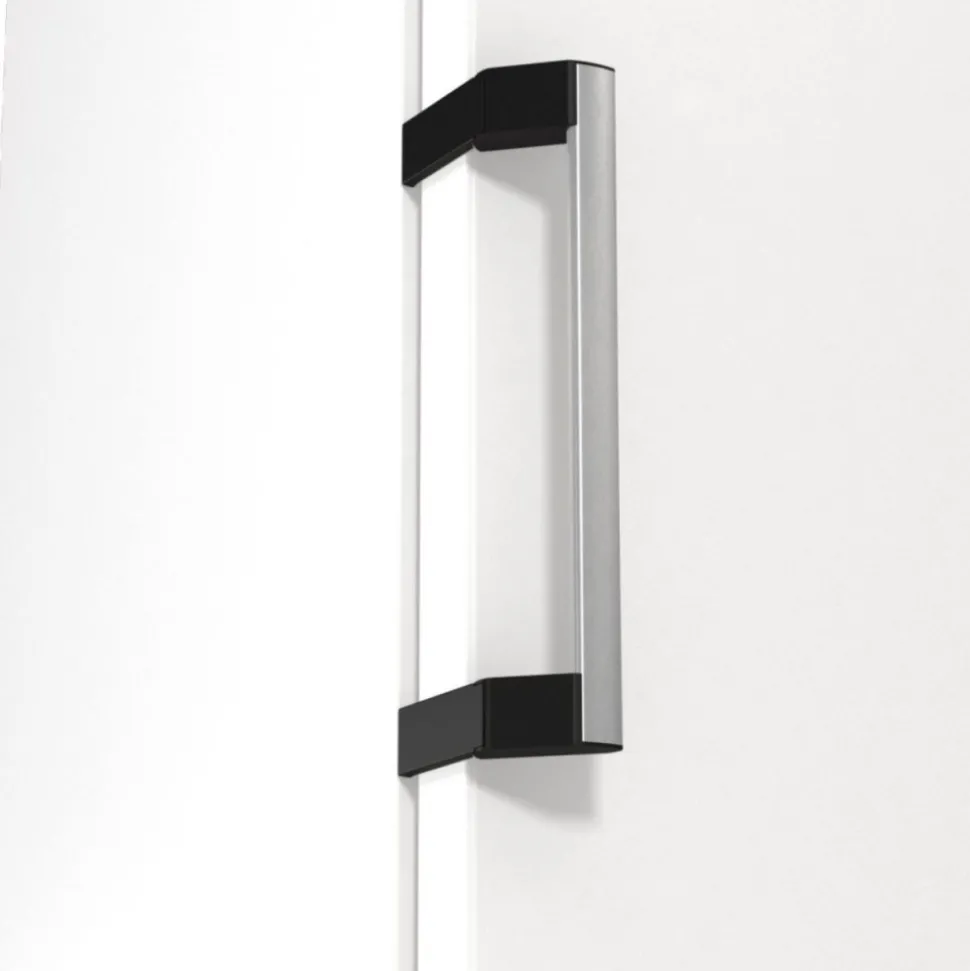 Chłodziarka GORENJE R619EAW6