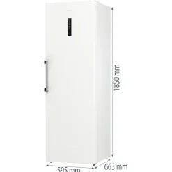 Chłodziarka GORENJE R619EAW6