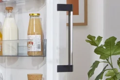 Chłodziarka GORENJE R619EAW6