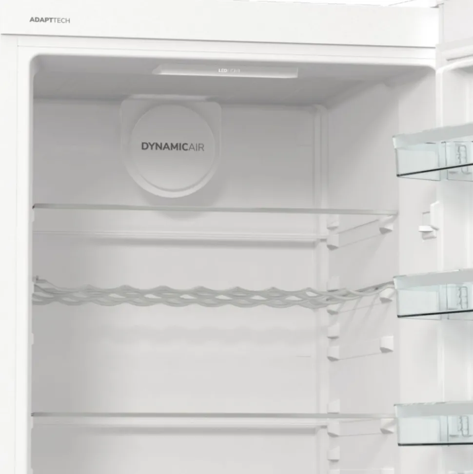 Chłodziarka GORENJE R619EAW6