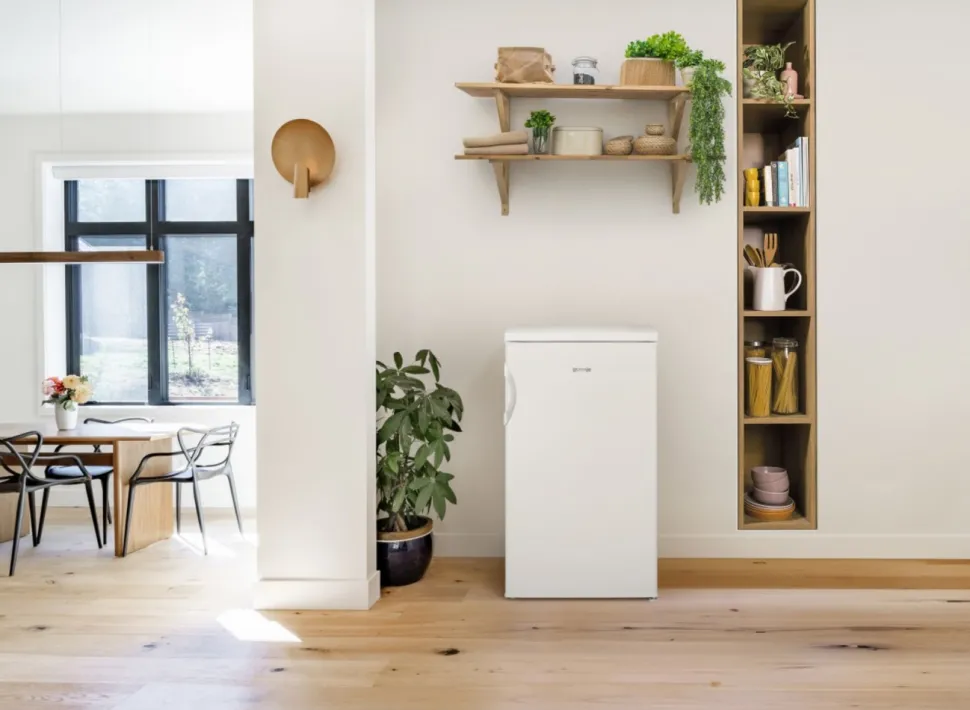 Chłodziarka GORENJE R492PW