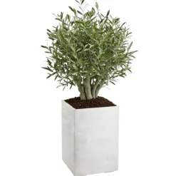 Donica Betonique na kółkach deska recykling kremowy H60x40 cm