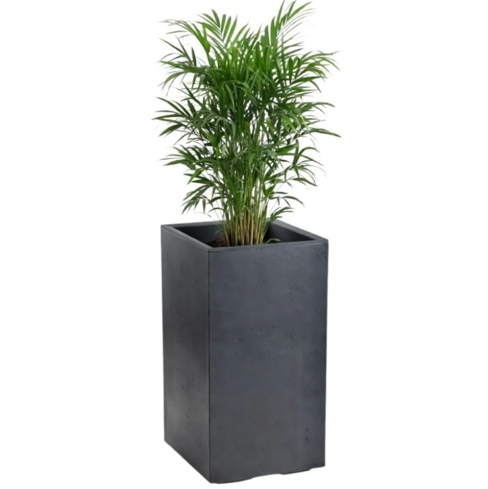 Donica Betonique na kółkach ECO antracyt 30x30xh60 cm