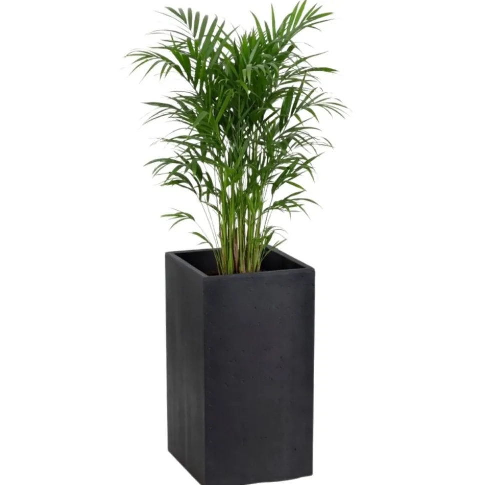 Donica Betonique na kółkach recykling czarny 30x30xh60 cm