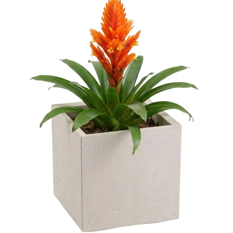 Donica Betonique na kółkach beton recykling beż 30x30xh30 cm
