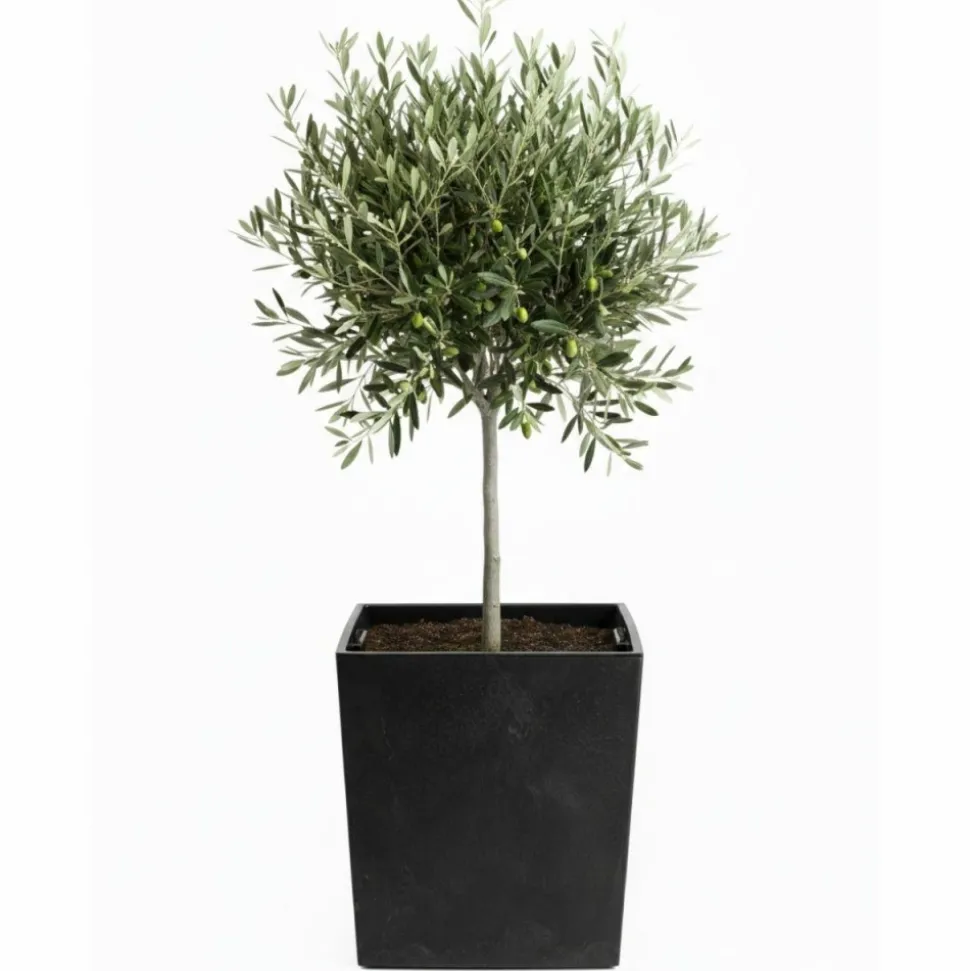 Donica Flore Czarny Beton h41x39,5x39,5 cm