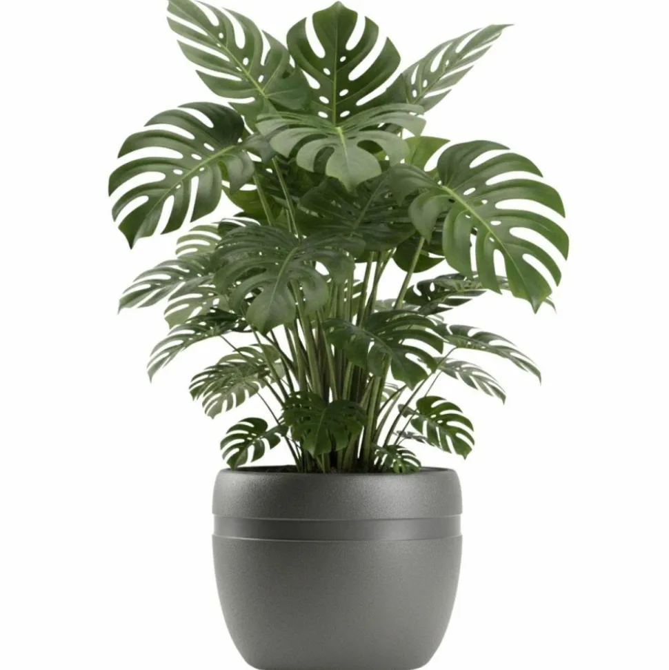 Donica LUNA CLASSIC antracyt 45,6 cm
