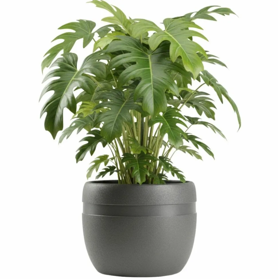 Donica LUNA CLASSIC antracyt 40 cm