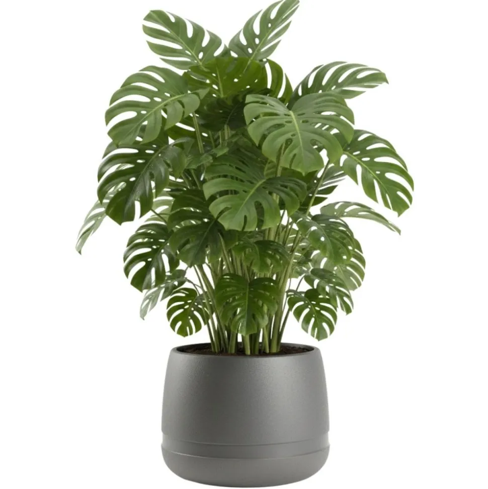 Donica LUNA WAZA antracyt 48 cm