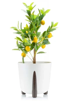 Donica Moss biała 34xh32 cm