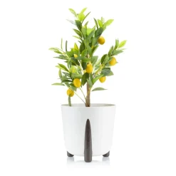 Donica Moss ECO recykling złamana biel 26xh25