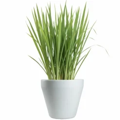 Donica ogrodowa Purea biała h34,9x39,5 cm