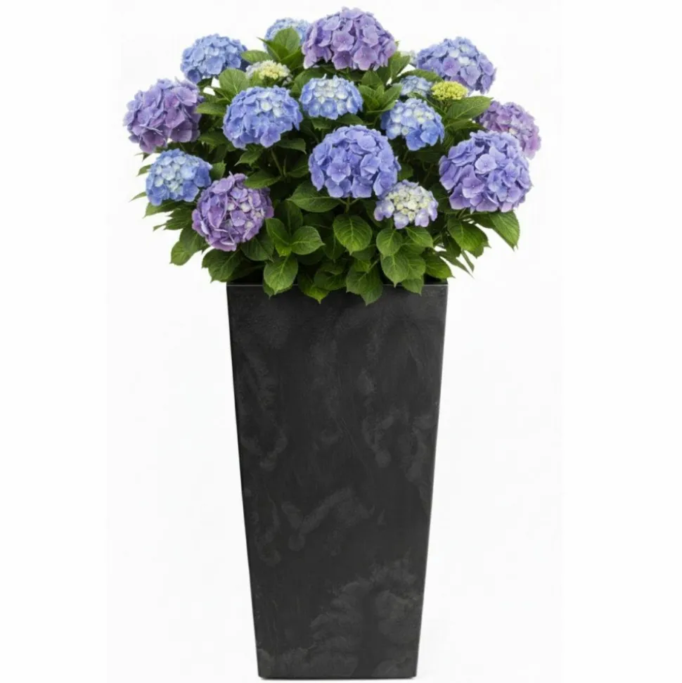 Donica Porto Czarny Beton h75x39,6x39,6 cm