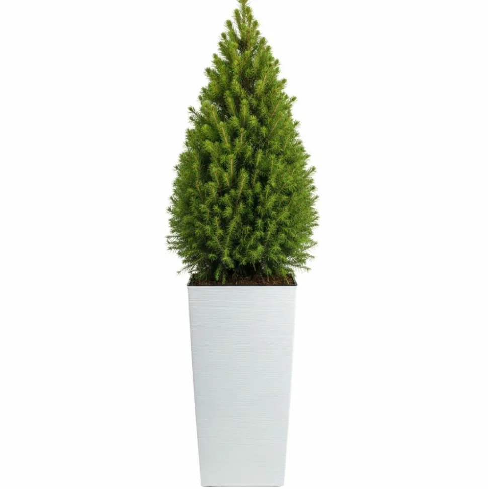 Donica Porto Riflo biała h75x39,6x39,6 cm