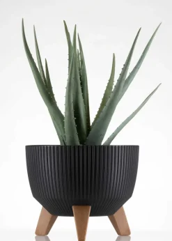 Donica Rosa linea ECO czarna 24xh15 cm