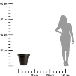 Donica Srtia Riflo mokka h33,9x39 cm