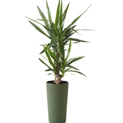Donica Urbanika ECO wood zielony h46 cm