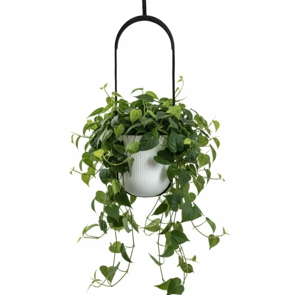 Donica wisząca AERA HANG biała 17,9 cm