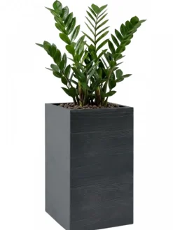 Donica Betonique na kółkach deska recykling antracyt 30x30xh60 cm * HowHomely New