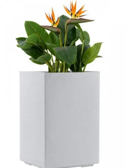 Donica Betonique na kółkach recykling beton kremowy H60x40 cm * HowHomely Discount