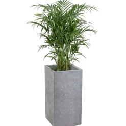 Donica Betonique na kółkach szary beton 30x30xh60 cm * HowHomely