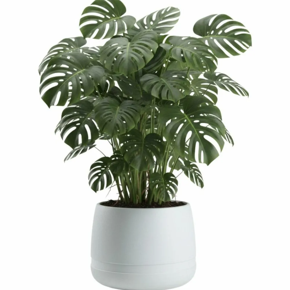 Donica LUNA WAZA biała 48 cm * HowHomely Online