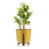 Donica Moss musztardowa 26xh25 cm * HowHomely Sale