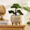 Donica na nóżkach botanica beżowa 23xh18 cm * HowHomely