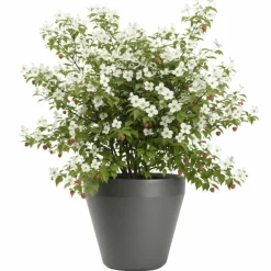 Donica ogrodowa Purea antracyt h41,2x46,4 cm * HowHomely Online