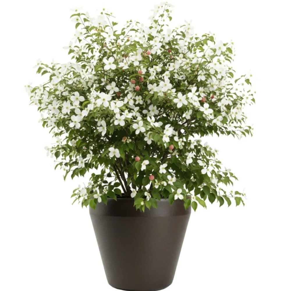 Donica ogrodowa Purea mokka h41,2x46,4 cm * HowHomely Online