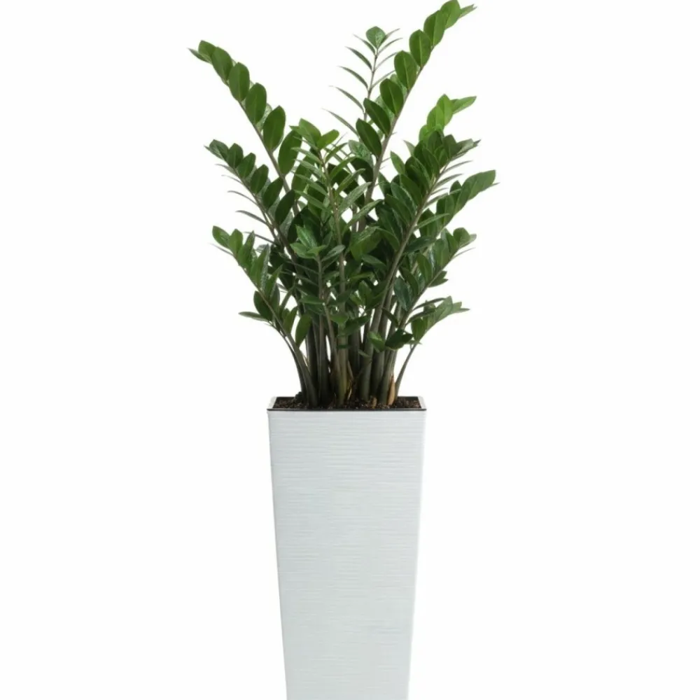 Donica Porto Riflo biała h46,5x24,7x24,7 cm * HowHomely Best