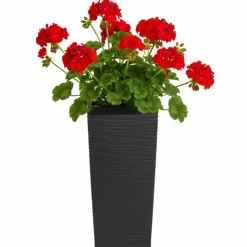 Donica Porto Riflo czarna h36x19x19 cm * HowHomely Hot