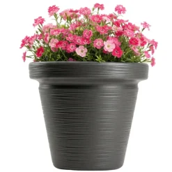 Donica Srtia Riflo antracyt h33,9x39 cm * HowHomely