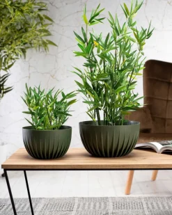 Donica Stripped ECO wood zielona 30xh16 cm * HowHomely New
