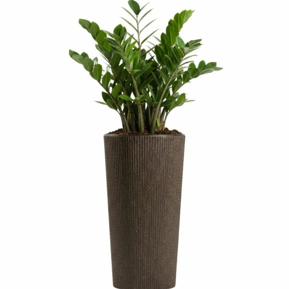 Donica Urbanika coffee espresso h36,4x19,6 cm * HowHomely Clearance