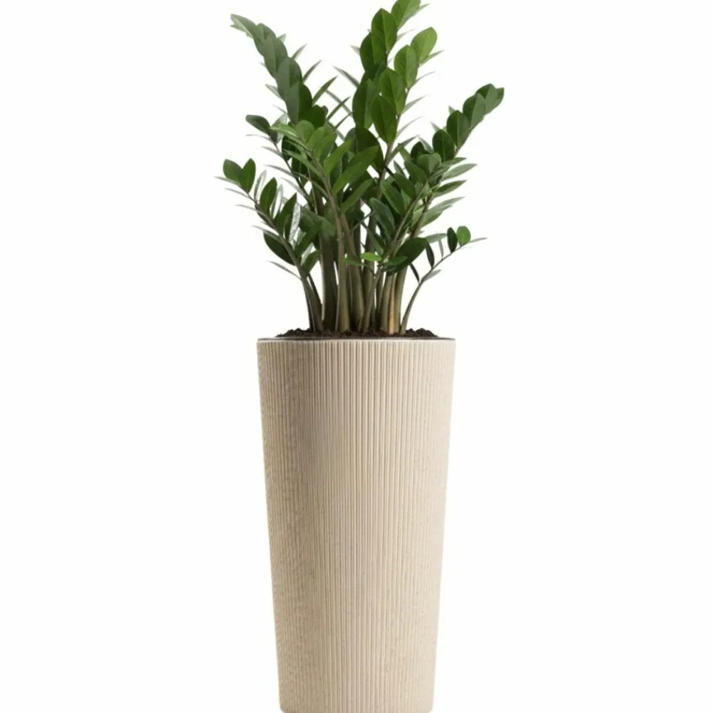 Donica Urbanika coffee latte h36,4x19,6 cm * HowHomely Sale