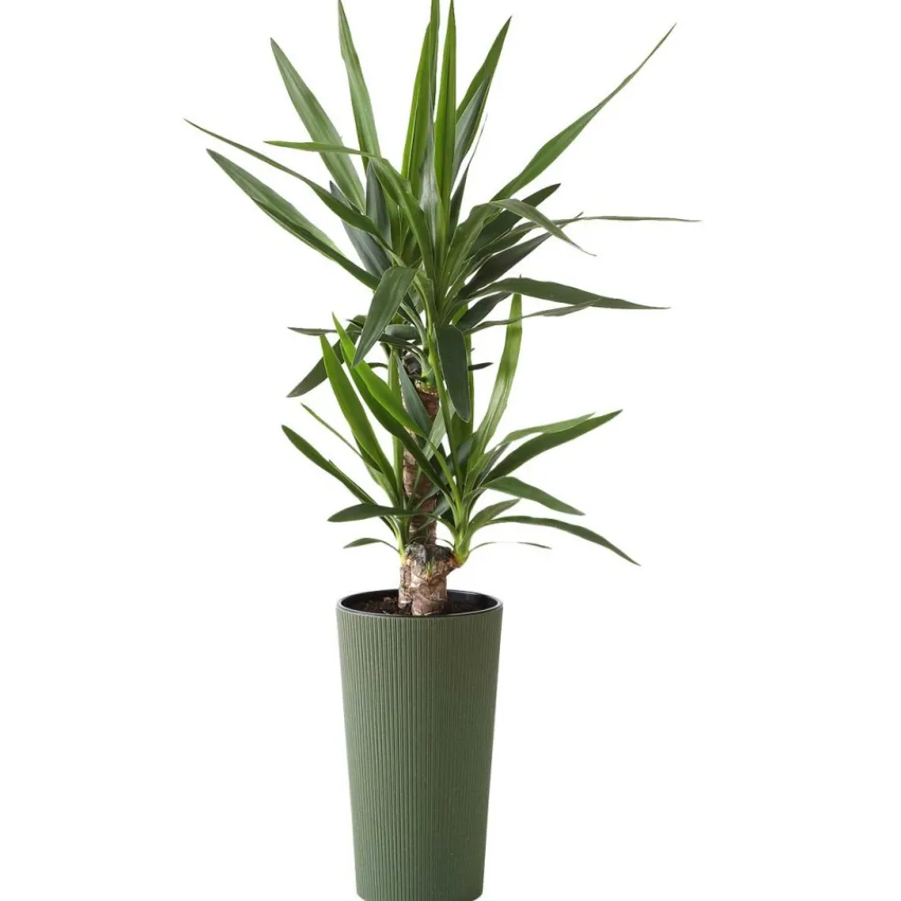 Donica Urbanika ECO wood zielony h57 cm * HowHomely Hot