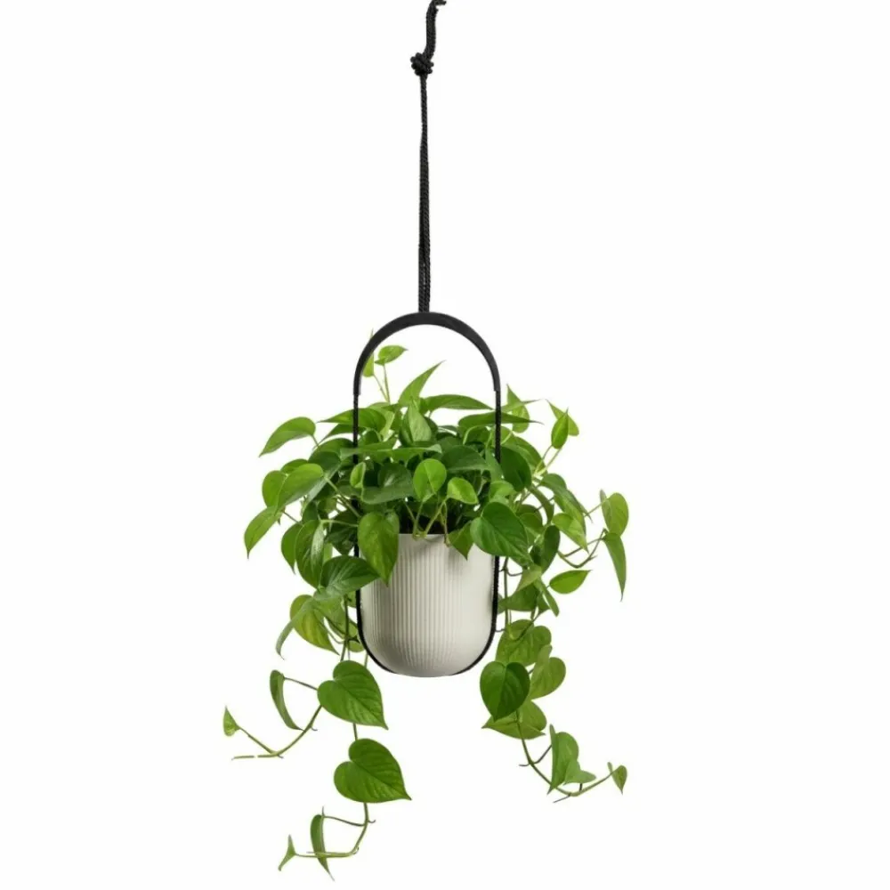 Donica wisząca AERA HANG recykling beż 17,9 cm * HowHomely Discount