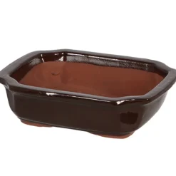Doniczka z terakoty na bonsai 21xh6cm * Esschert Design Sale
