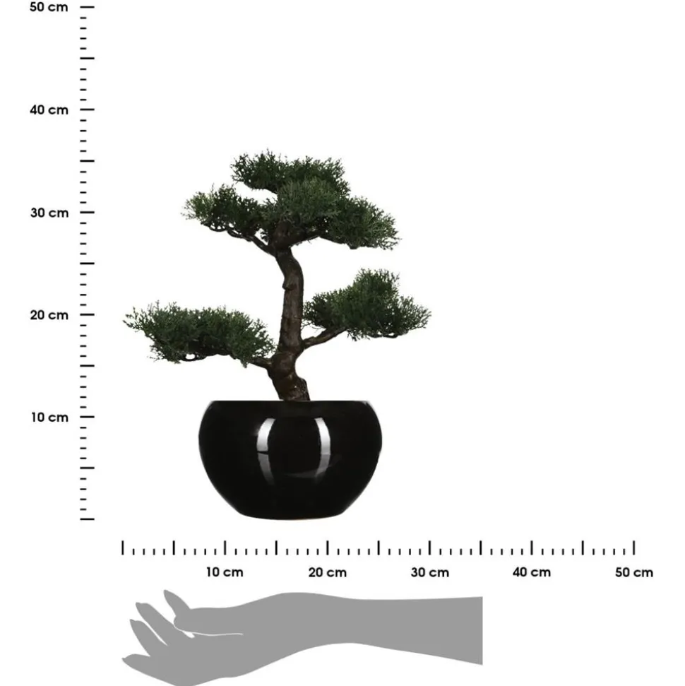 Drzewko bonsai w czarnej doniczce 36 cm