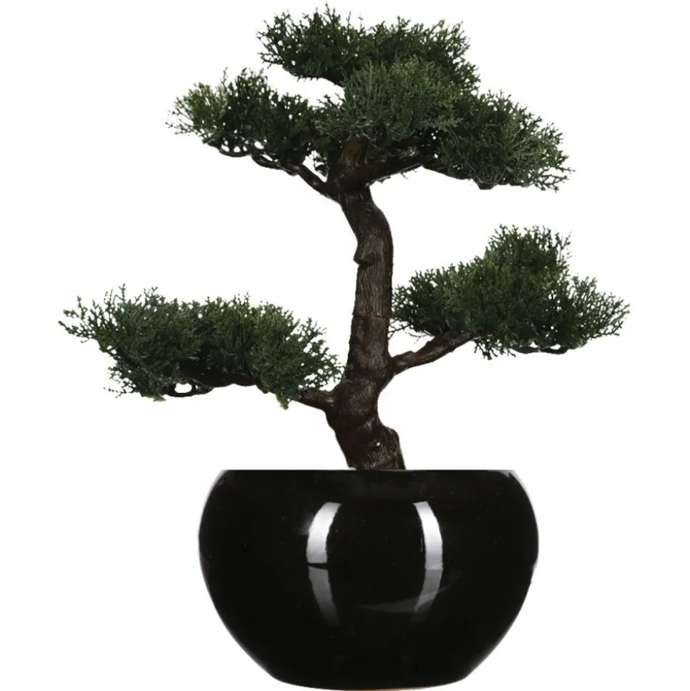 Drzewko bonsai w czarnej doniczce 36 cm