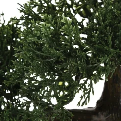 Drzewko bonsai w czarnej doniczce 36 cm