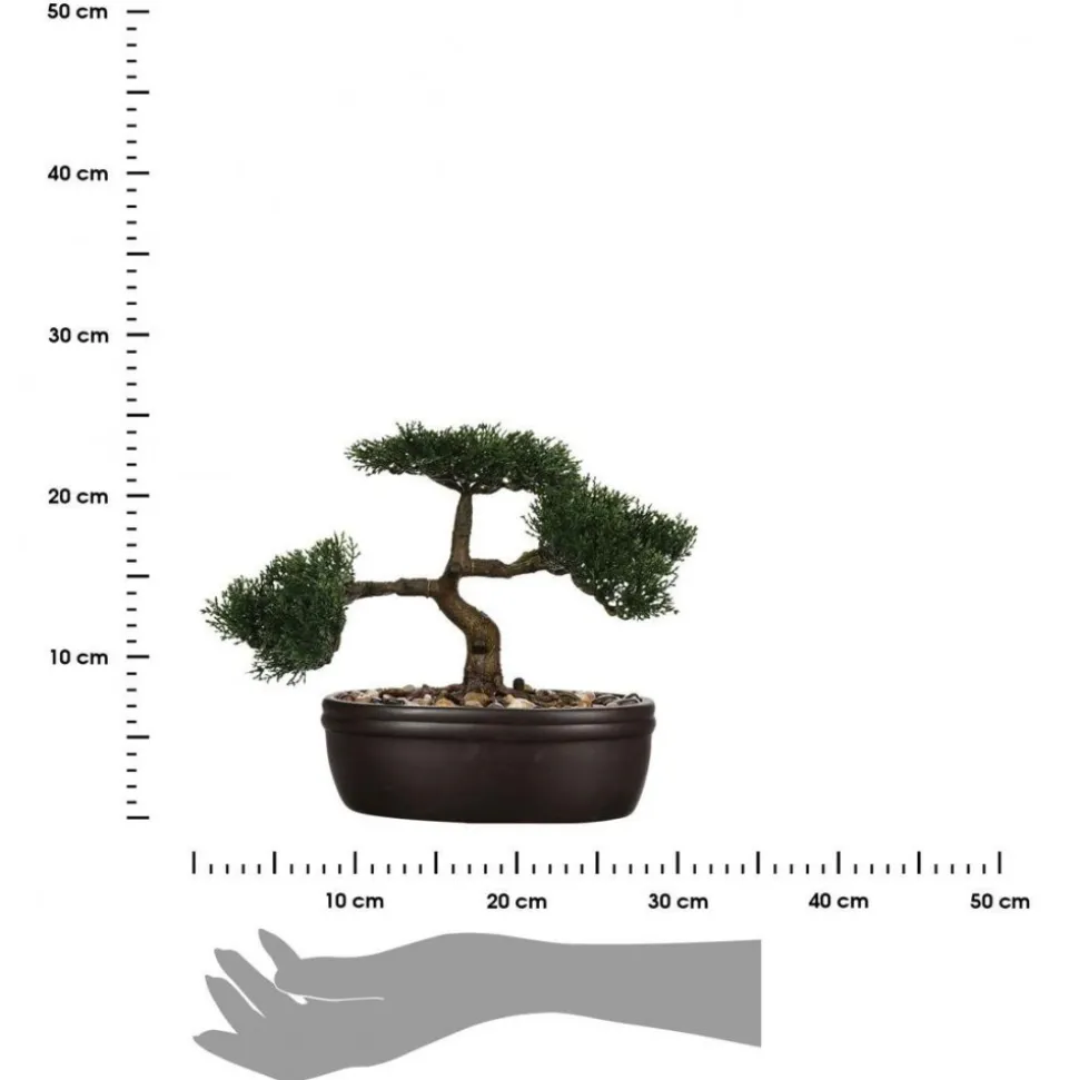 Drzewko bonsai w czarnej doniczce 23 cm
