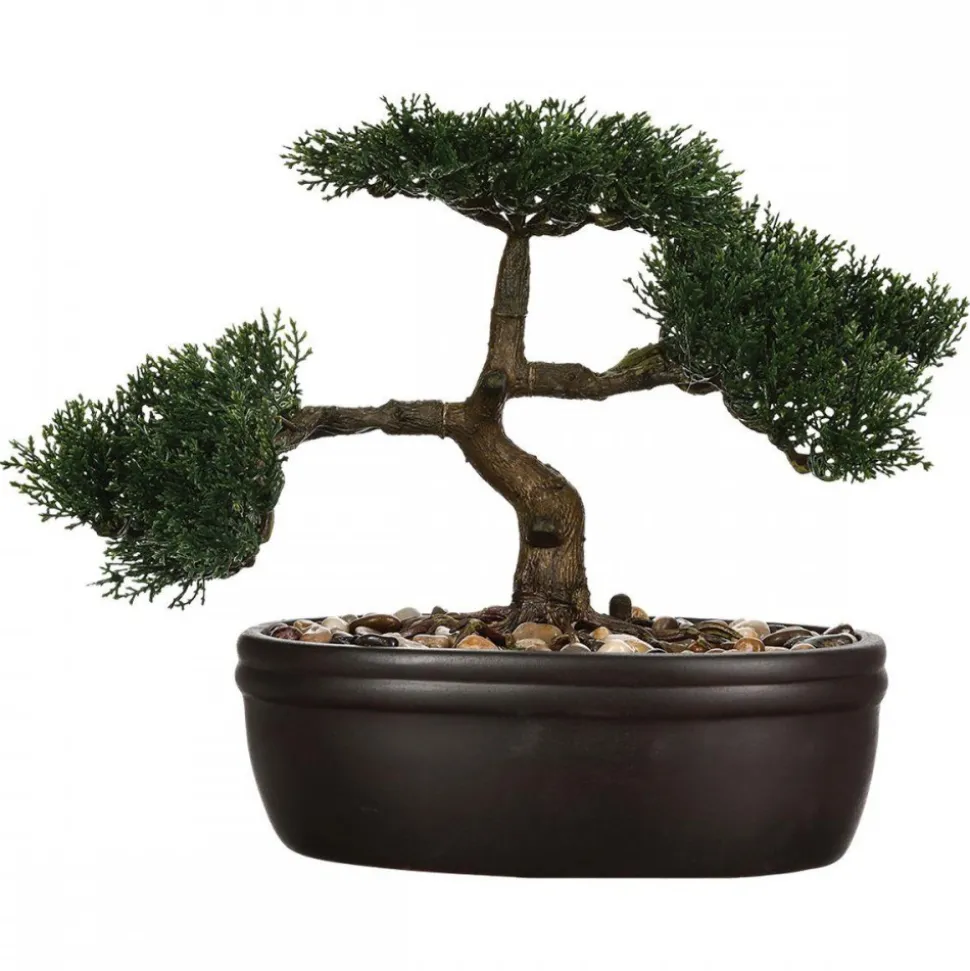 Drzewko bonsai w czarnej doniczce 23 cm