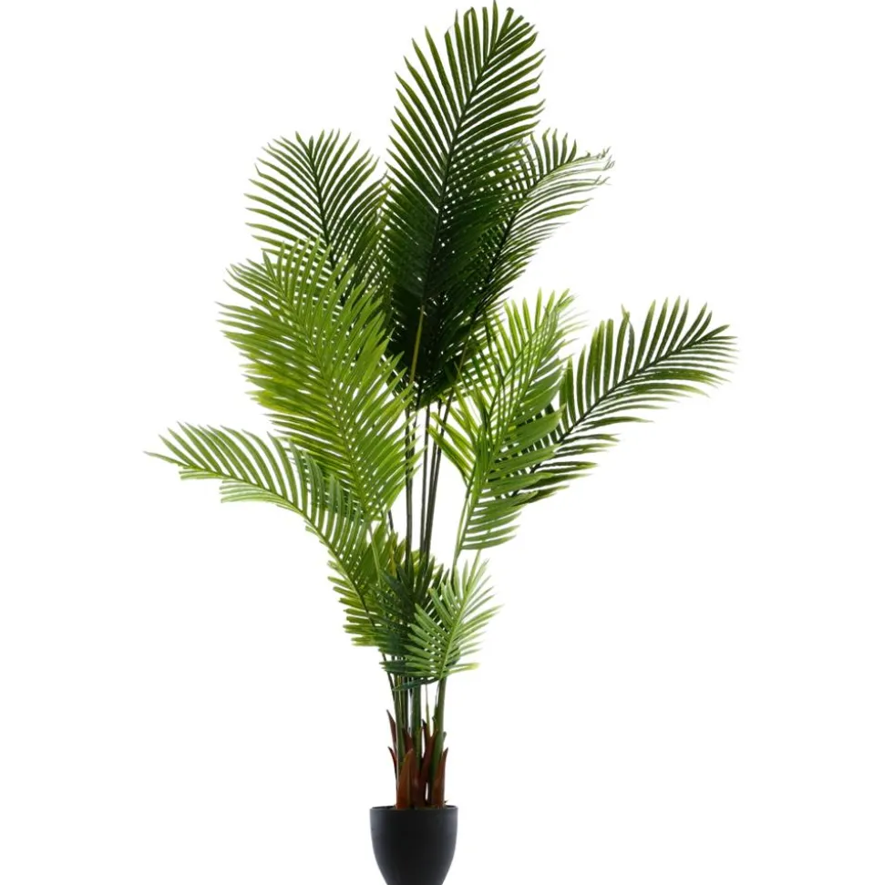 Drzewko palmowe w doniczce 180 cm