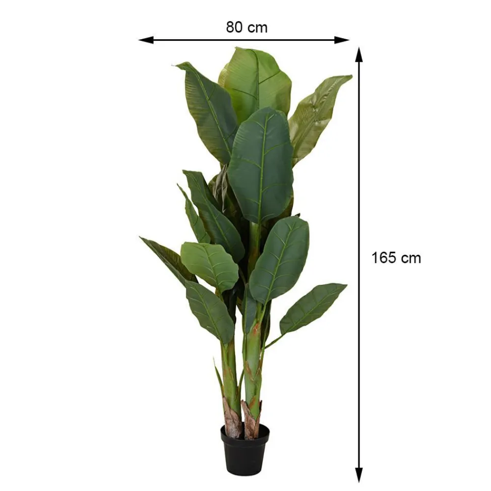 Duży bananowiec w donicy 165 cm * Progarden Hot